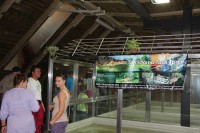 /album/fotogalerie-zoo-protivin-krokodyli-zoologicka-zahrada/den-ohrozenych-krokodylu-jpg/